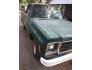 1979 Chevrolet C/K Truck for sale 101586937